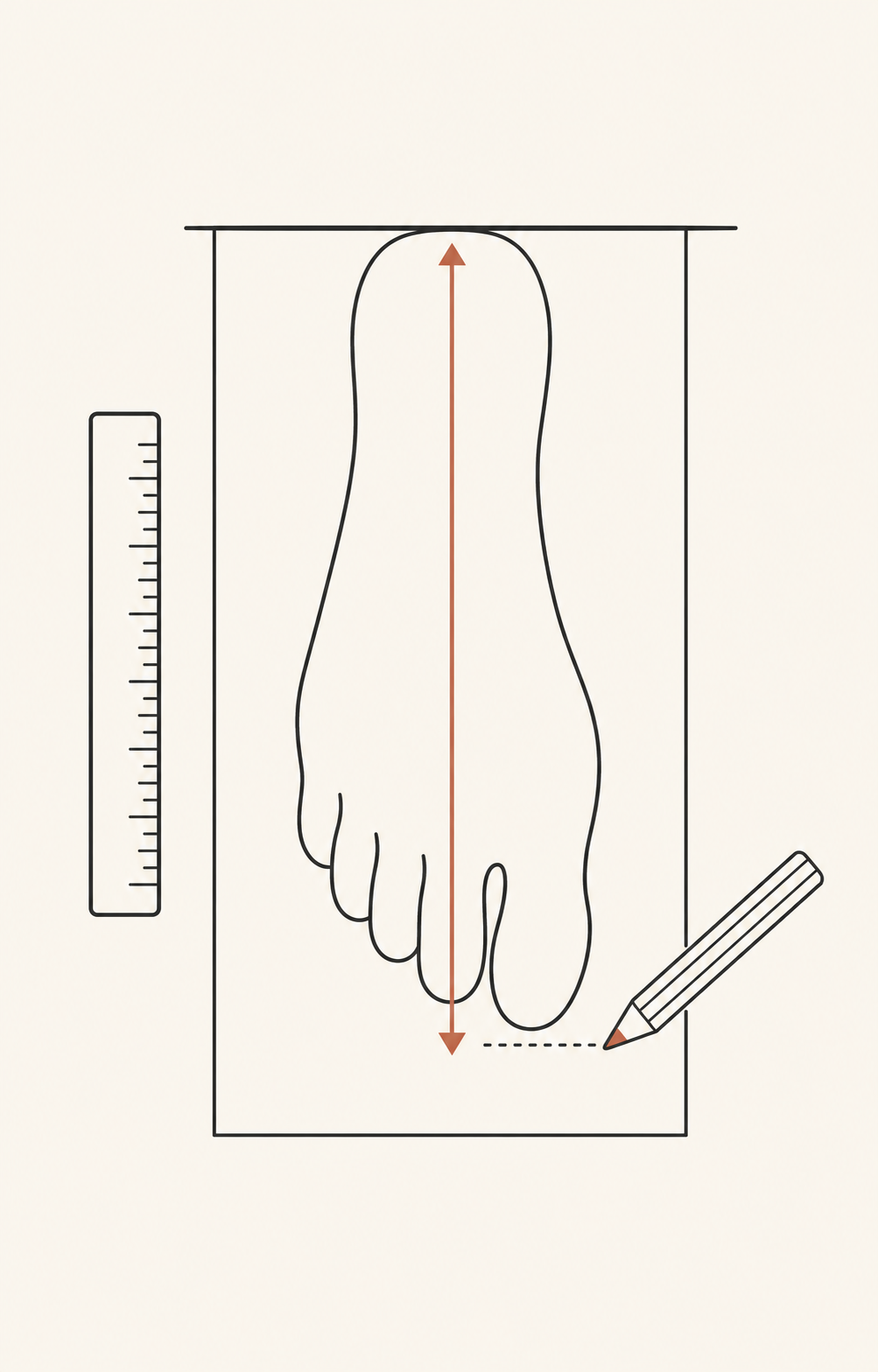 Simple illustration showing a foot on paper measured from heel to longest toe